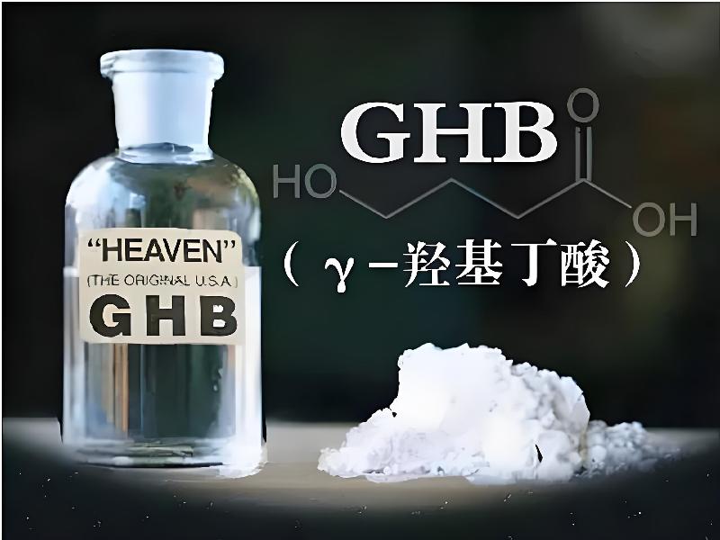 催听迷货到付6488-qH型号